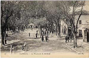 TLEMCEN 106- COLLECTION MONTANER